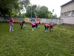 IMG_20190531_083205.jpg